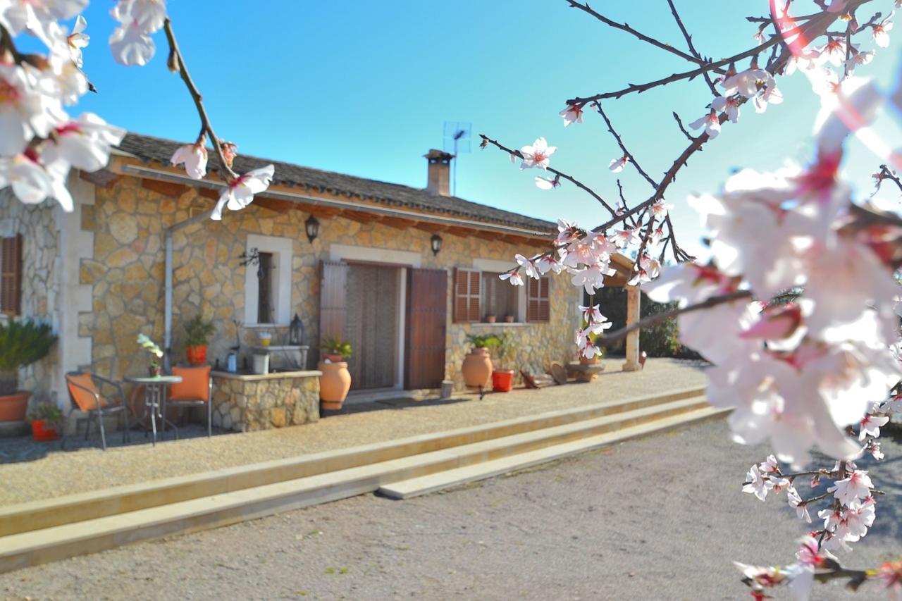078 Finca Sa Rota Vt1953 By Mallorca Charme أرياني المظهر الخارجي الصورة